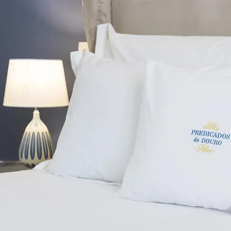 게스트하우스 Predicados Do Douro Palace 4*