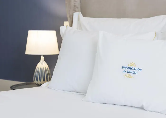 بيت ضيافة Predicados Do Douro Palace 4*