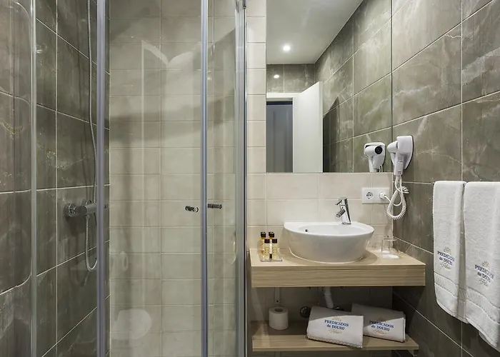 Predicados Do Douro Palace 4*